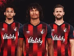 关于伯恩茅斯主场龙石建功，围双塔哈进球的信息