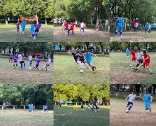 足球场上球员拼搏奋斗,现场观众热情高涨的简单介绍 足球场上球员拼搏奋斗,现场观众热情高涨的简单介绍